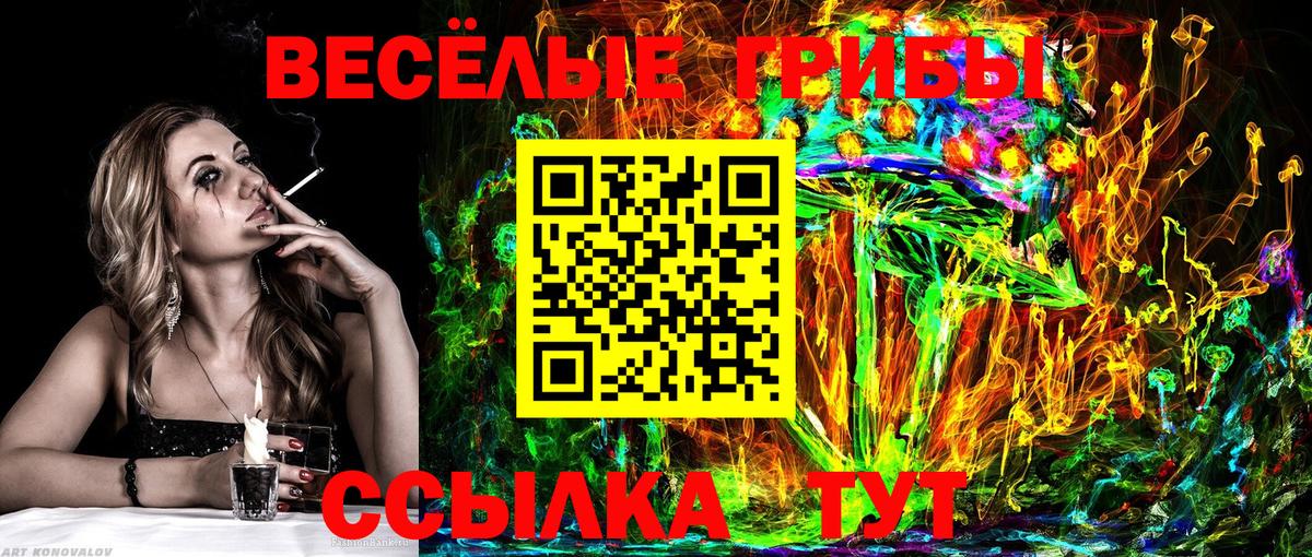 Псилоцибиновые грибы Psilocybine cubensis Назарово