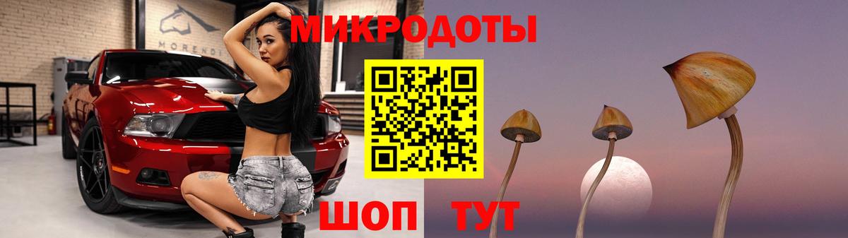 Назарово  Псилоцибиновые грибы мицелий  Вход с VPN 